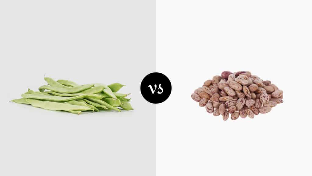 Romano Beans vs Pinto Beans