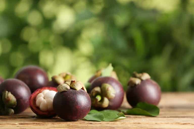 How To Tell If Mangosteen Is Ripe (Answered) Miss Vickie