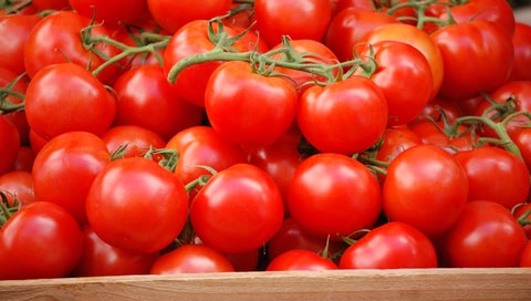 Vine-ripened tomatoes