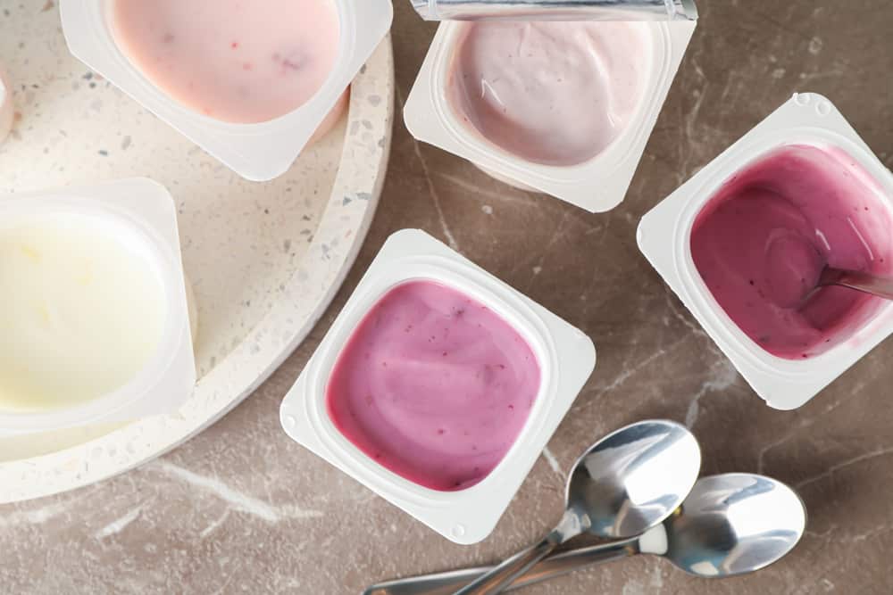 yogurt vs pudding