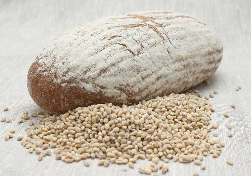 Bread and grains of barley
