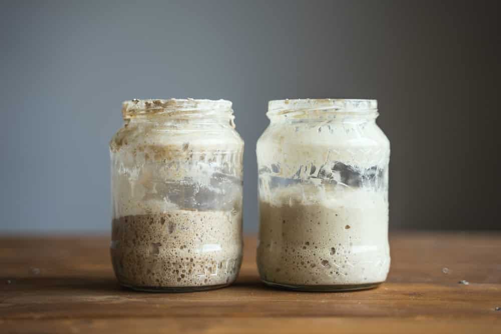 Bread sourdough rye starter. 2 different types.