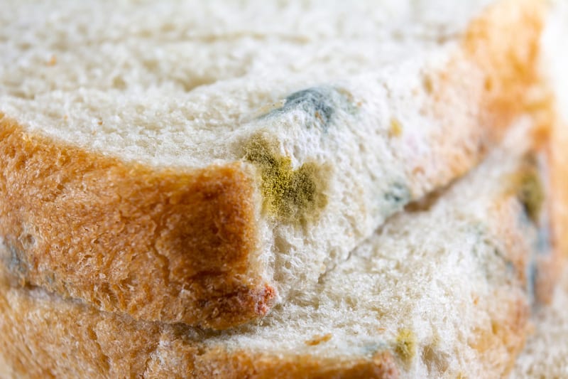 Expired bread with mold on surface
