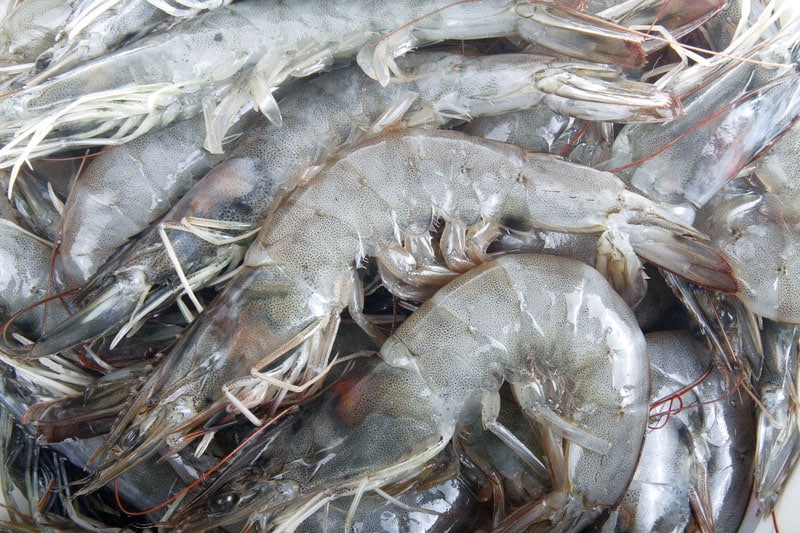 Fresh raw shrimp in a fish market