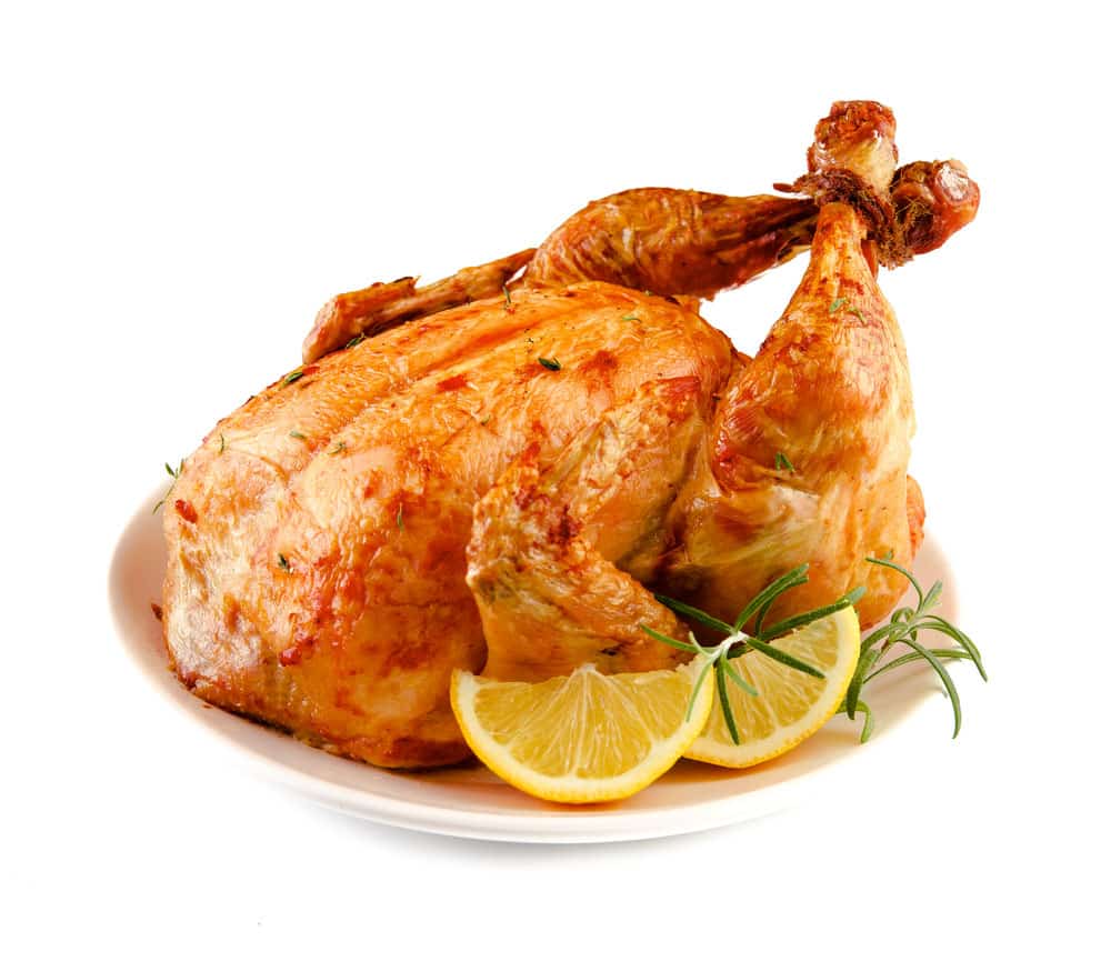 Thanksgiving Turkey isolated on white background