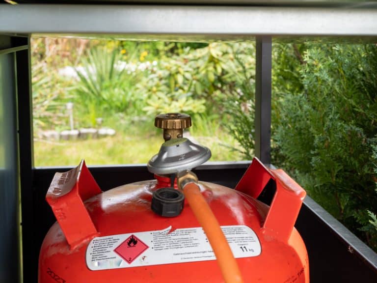 Bernzomatic Propane vs Coleman Which is Better? Miss Vickie