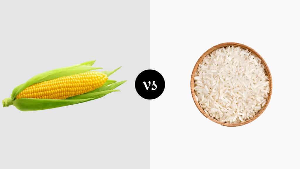 Corn vs Rice