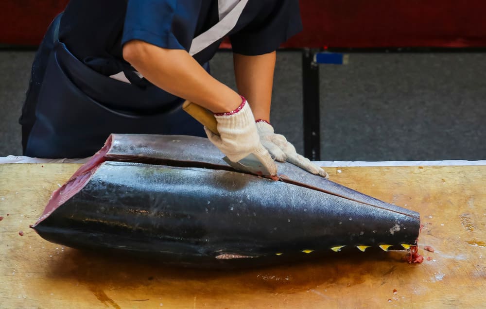 Fresh Tuna fish cut by professional Japanese chef