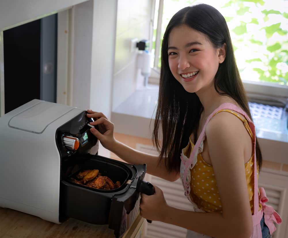 gourmia vs insignia air fryer