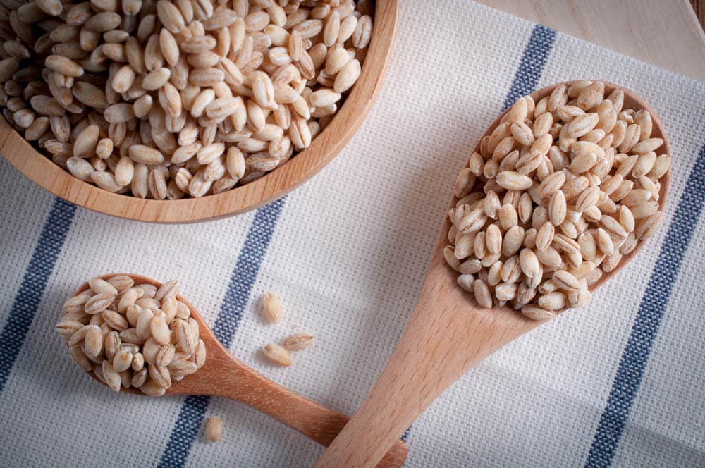 pearls barley grain seed on background