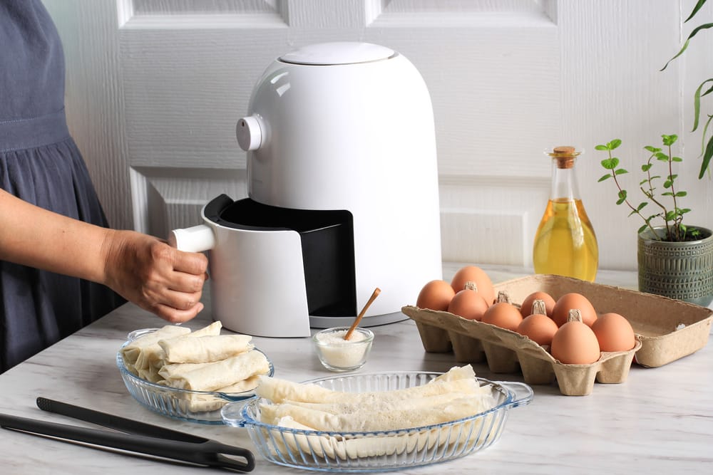 philips airfryer vs gowise