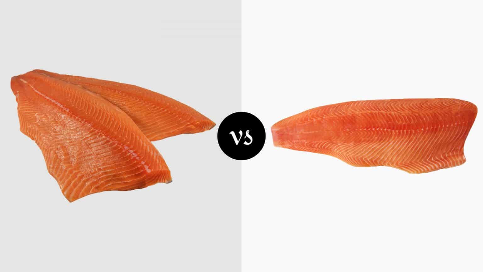 Sockeye Salmon vs Atlantic Salmon Better Choice? Miss Vickie
