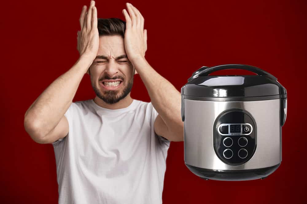 did I damage my rice cooker? it said it was dishwasher safe…then