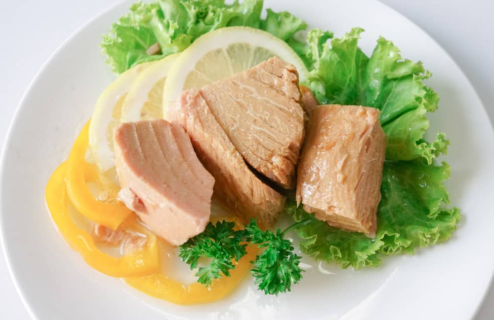 Tuna chunk on white plate