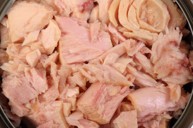Canning Tuna Without Pressure Cooker 25 Steps Miss Vickie