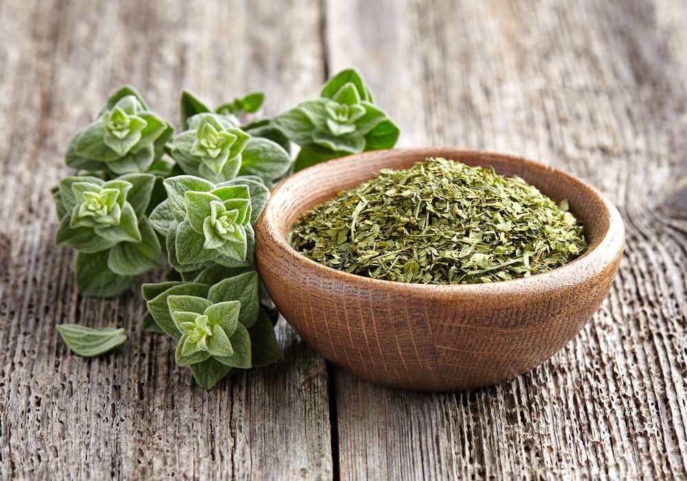 Ground Oregano vs Dried Oregano