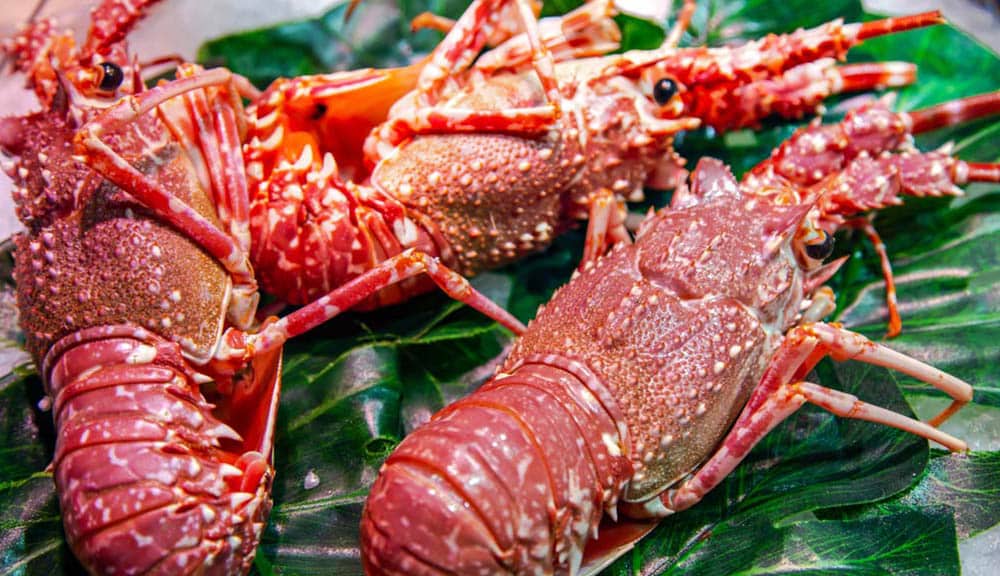 Raw lobster lying on leaves