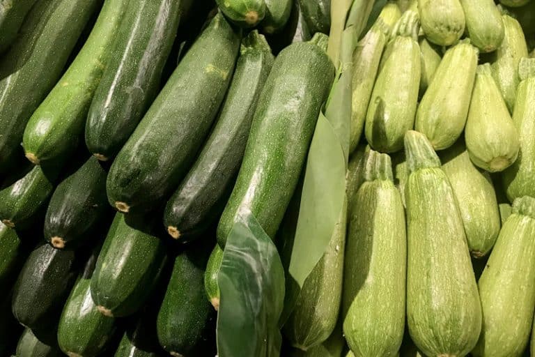 Gray Squash vs Zucchini Which Is Better? Miss Vickie
