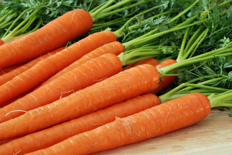 Mold On Carrots