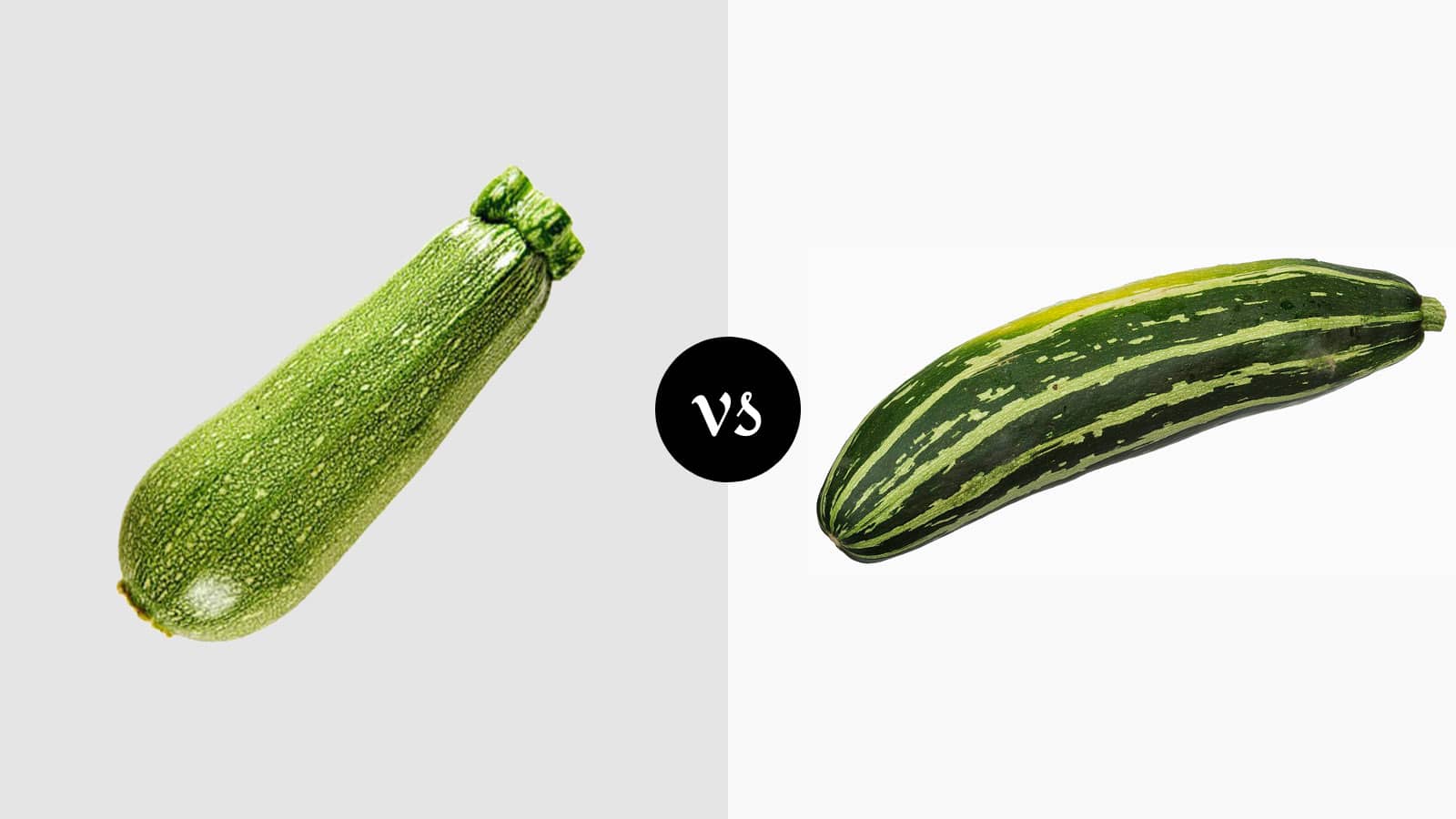 Calabacita Squash vs Zucchini
