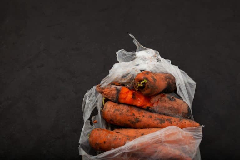 Carrots Turned Brown In Freezer Do's and Don'ts Miss Vickie