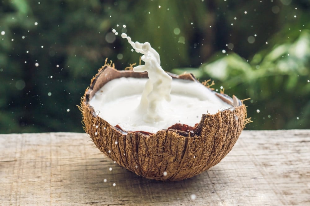 Coconut fruit and milk splash