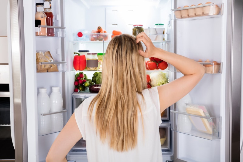 Frigidaire Styrofoam Inside Fridge