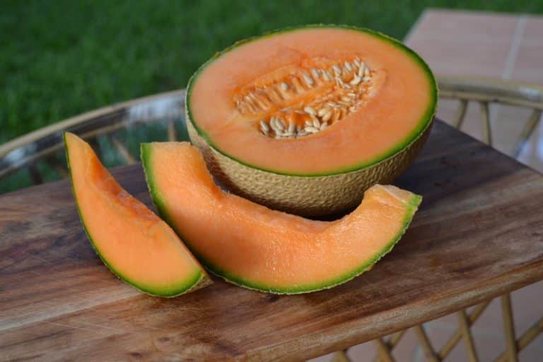 Cantaloupe vs Athena Melon - What's The Difference? - Miss Vickie