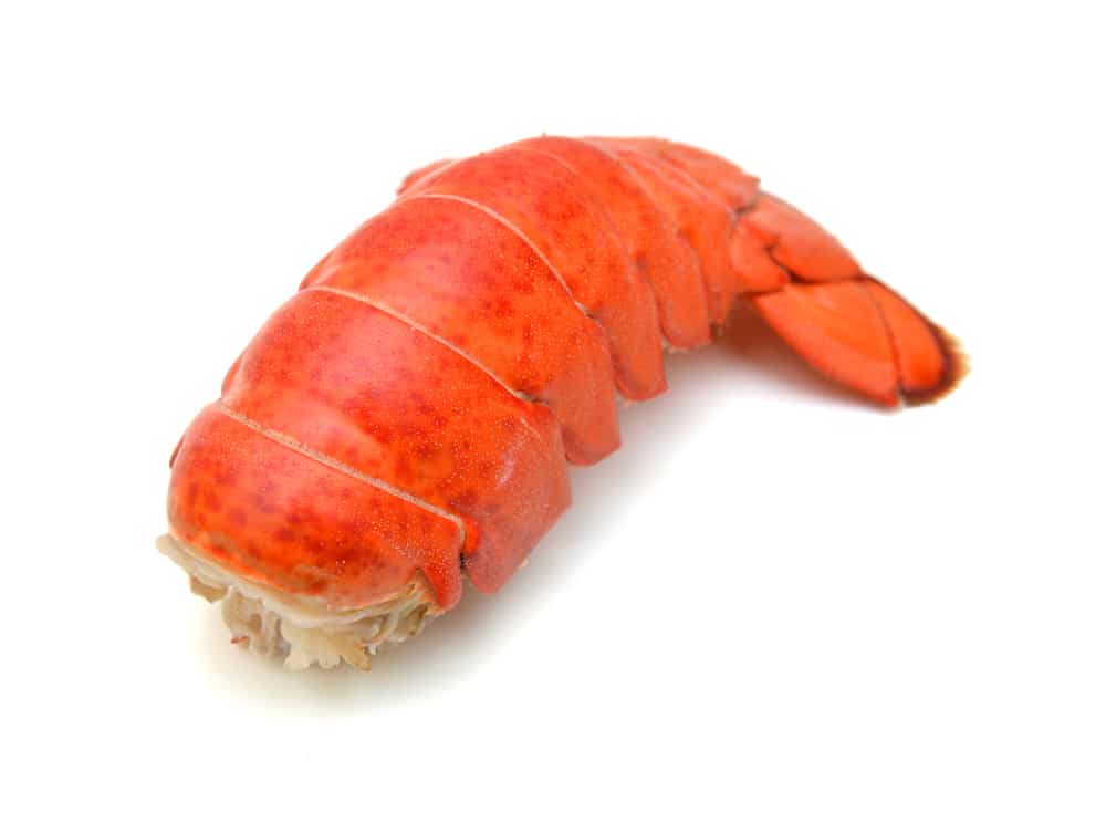 Lobster tail isolated on white background