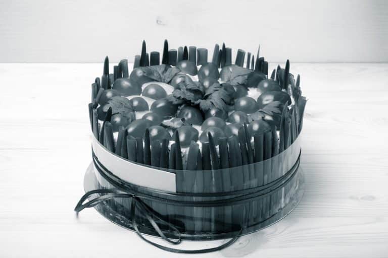 5 Substitute for Cake Collar You Can Use Miss Vickie