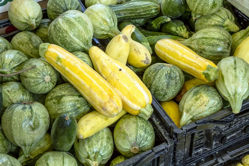 Plastic crates filled with yellow, green and calabacita zucchini squash for sale at local farmers market