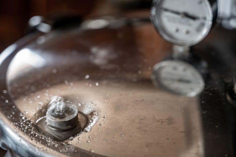 4 Common NESCO Pressure Canner Problems (Troubleshooting) Miss Vickie
