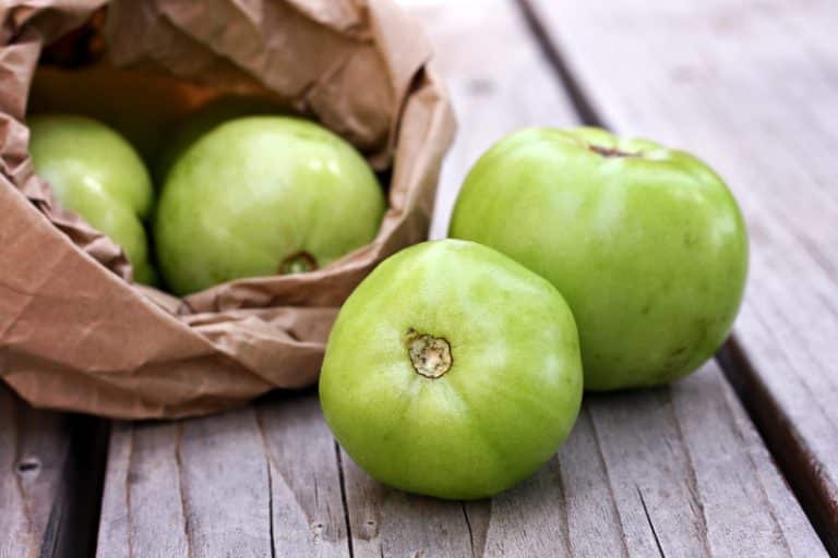7 Easy Methods To Ripen The Green Tomatoes Inside Miss Vickie