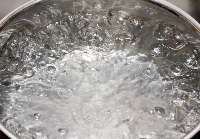 4 Common NESCO Pressure Canner Problems (Troubleshooting) Miss Vickie