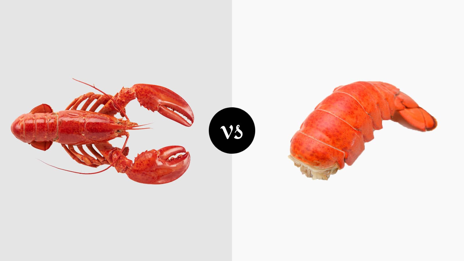 Whole Lobster vs Lobster Tail