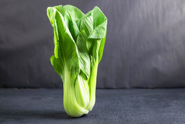 Chinese cabbage on black background