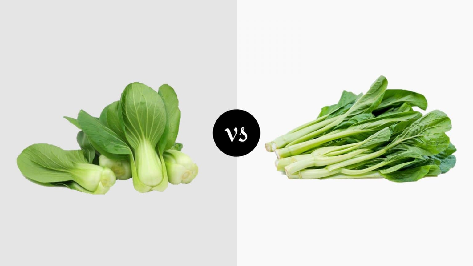Bok Choy vs Choy Sum How To Differentiate? Miss Vickie