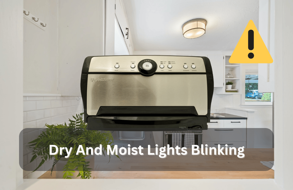 foodsaver dry and moist lights blinking