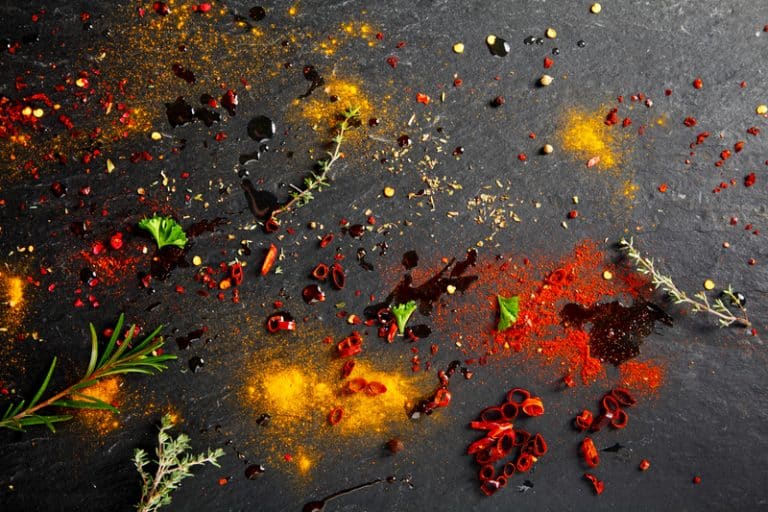 Explaining The Process Of FoodSaver Marinade In Bag Miss Vickie