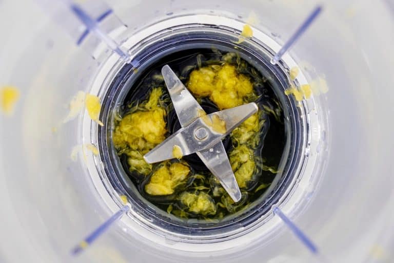 3 Ways To Fix Instant Pot Ace Blender E01 Error Message Miss Vickie