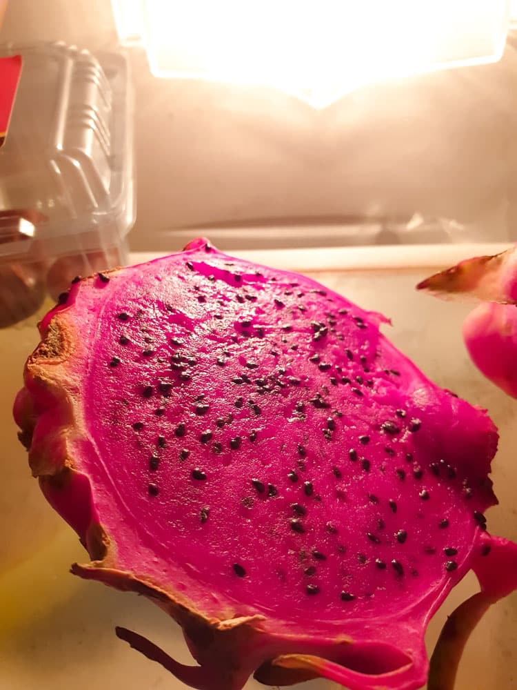 Dragon fruit in the fridge