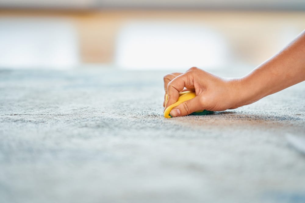 Picture of hand with sponge cleaning carpet