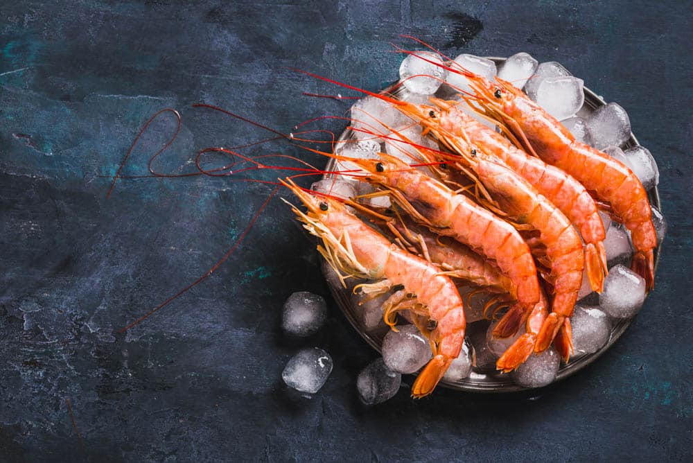 Red Argentine shrimps ocean jumbo shrimps