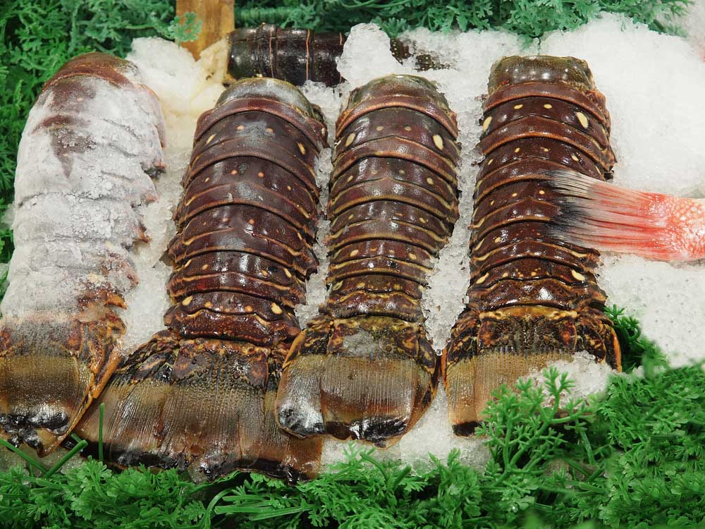 large lobster tails on ice on the market stand