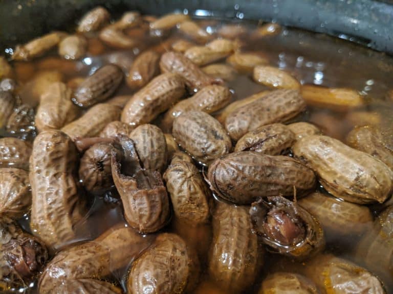 How To Boil Peanuts In Pressure Cooker Miss Vickie