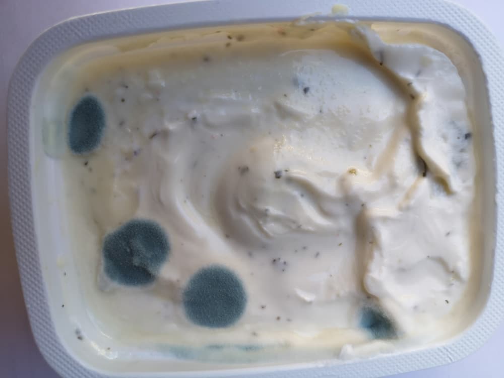 What Happens if You Eat Moldy Sour Cream