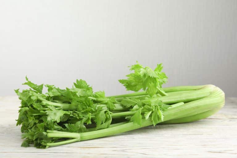 Why Does Celery Taste Like Soap? (5 Reasons) Miss Vickie