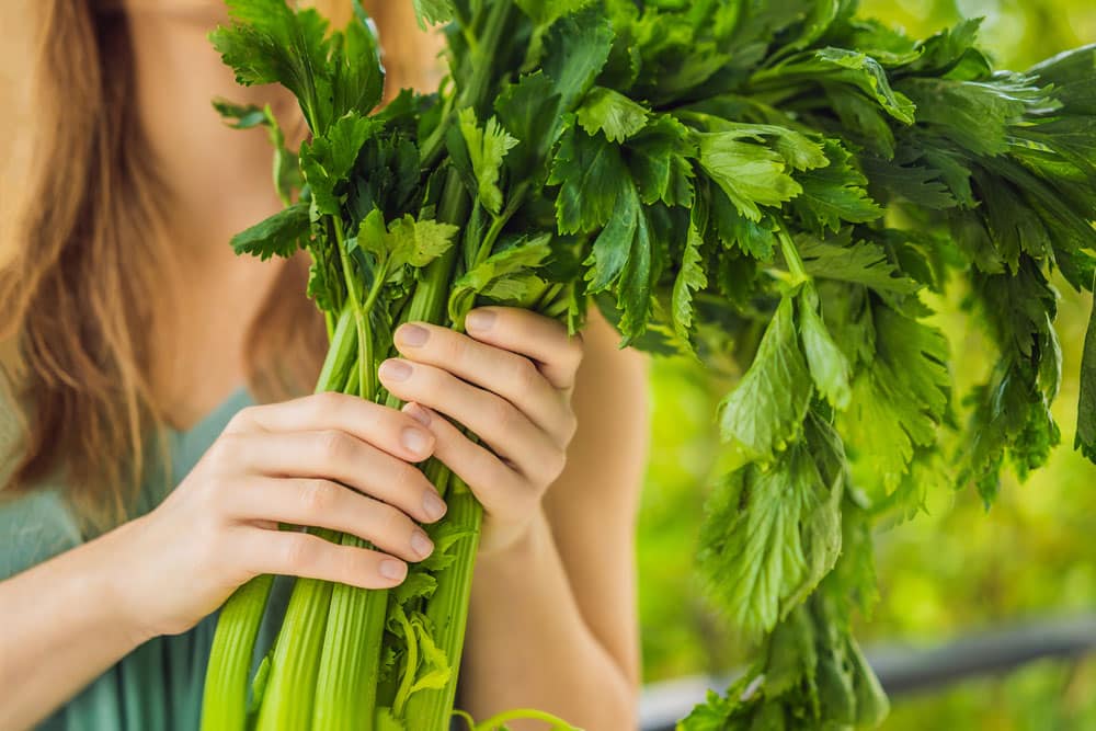 Woman holding celery stalk