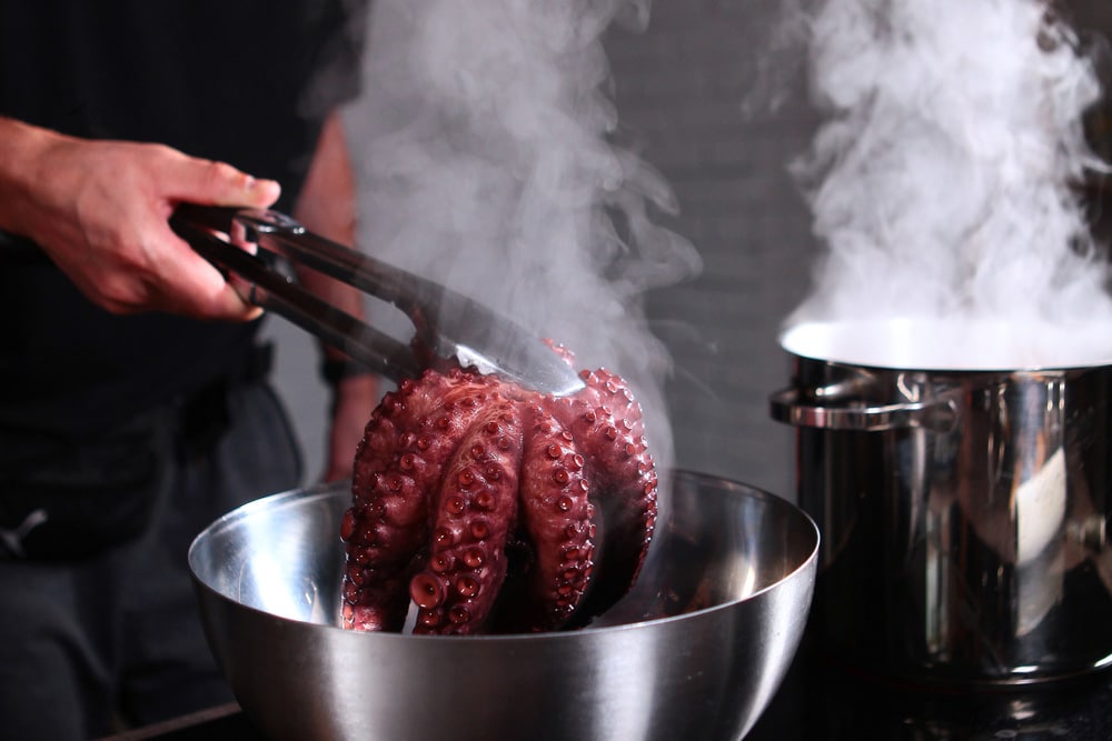 Boiled octopus is taken out of the pan