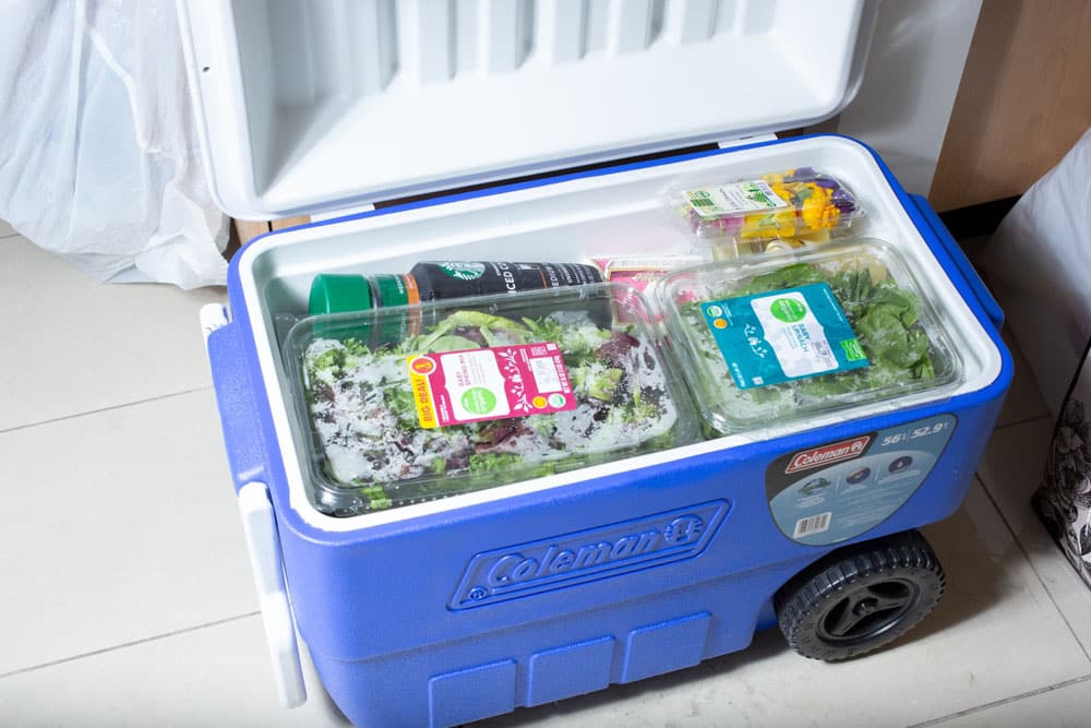 A view of a Coleman cooler, filled with a variety of grocery food products